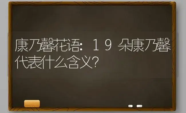 康乃馨花语:19朵康乃馨代表什么含义？ | 绿植常识