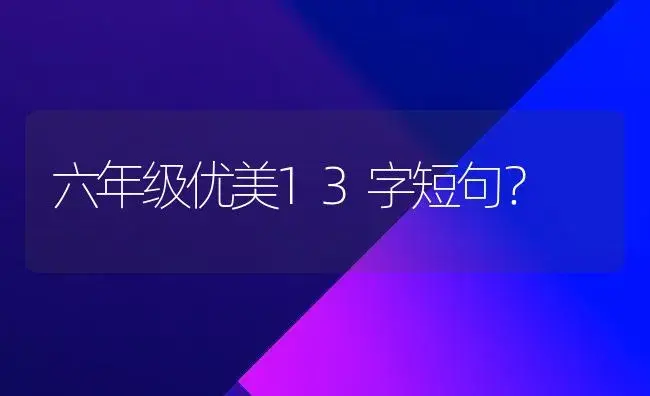 六年级优美13字短句？ | 绿植常识