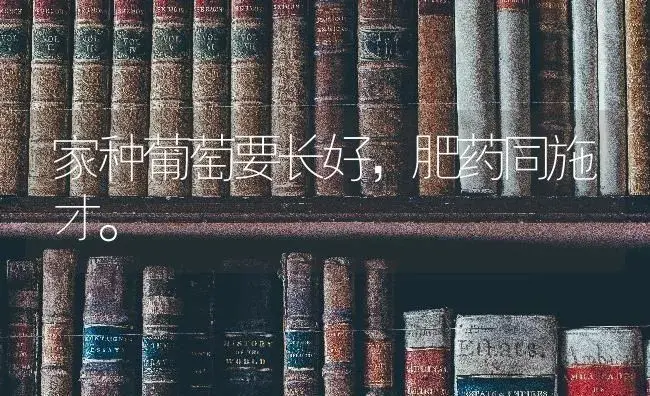 家种葡萄要长好，肥药同施才。 | 果木种植