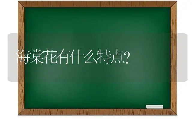 海棠花有什么特点？ | 绿植常识