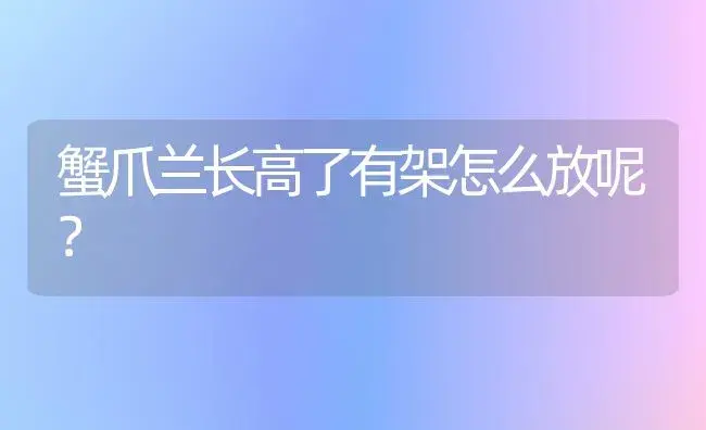 蟹爪兰长高了有架怎么放呢？ | 多肉养殖