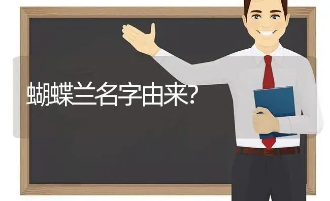 蝴蝶兰名字由来？ | 绿植常识