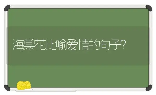 海棠花比喻爱情的句子？ | 绿植常识