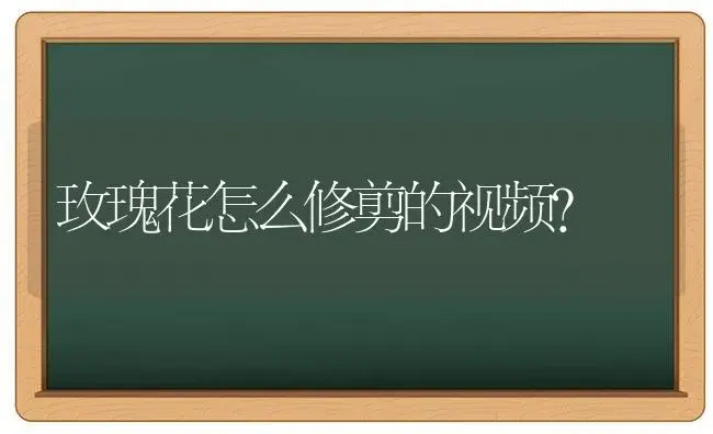 玫瑰花怎么修剪的视频？ | 绿植常识