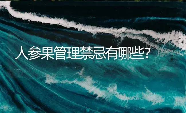 人参果管理禁忌有哪些？ | 药材种植