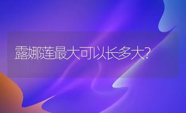 露娜莲最大可以长多大？ | 多肉养殖