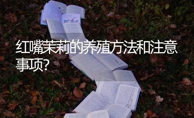 风信子种子怎么水培？ | 绿植常识