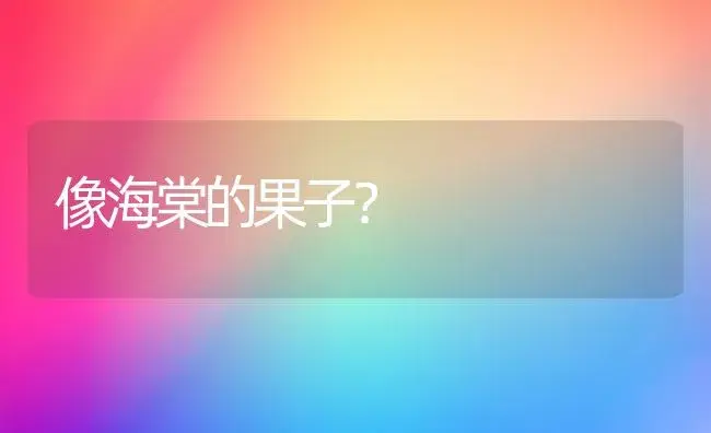 像海棠的果子？ | 绿植常识