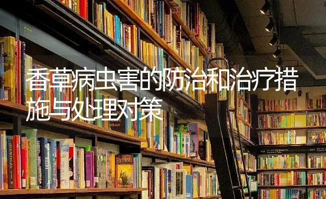 香草病虫害的防治和治疗措施与处理对策 | 特种种植