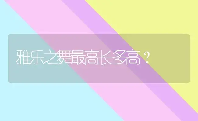 雅乐之舞最高长多高？ | 多肉养殖