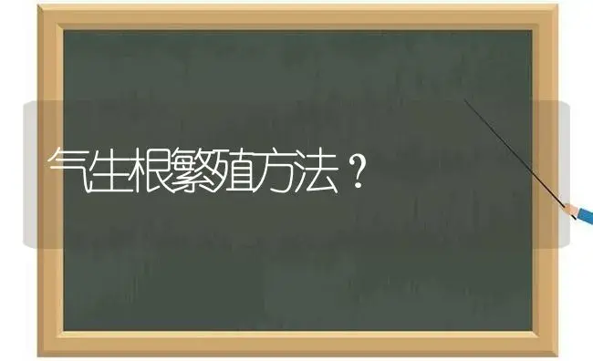 气生根繁殖方法？ | 绿植常识