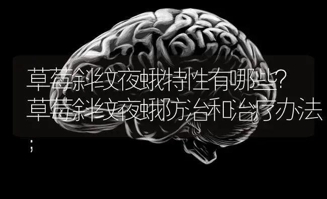 草莓斜纹夜蛾特性有哪些？草莓斜纹夜蛾防治和治疗办法； | 果木种植