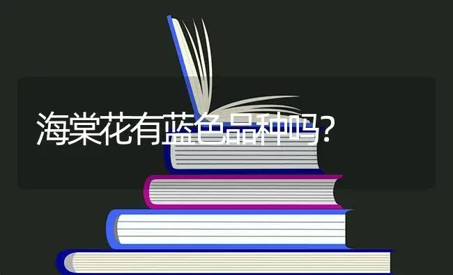 带有“兰”字的诗句，五言绝句有哪些？ | 绿植常识