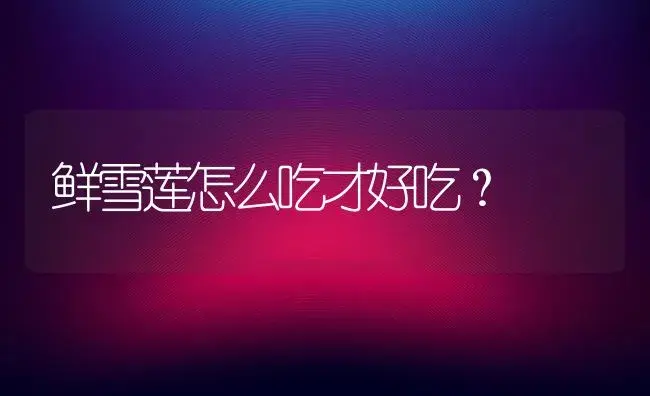 鲜雪莲怎么吃才好吃？ | 多肉养殖