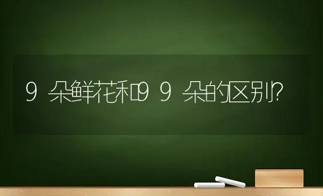 9朵鲜花和99朵的区别？ | 绿植常识