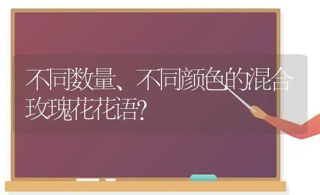 不同数量、不同颜色的混合玫瑰花花语？ | 绿植常识