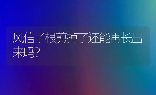 风信子根剪掉了还能再长出来吗？ | 绿植常识