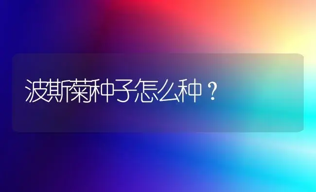 波斯菊种子怎么种？ | 家庭养花