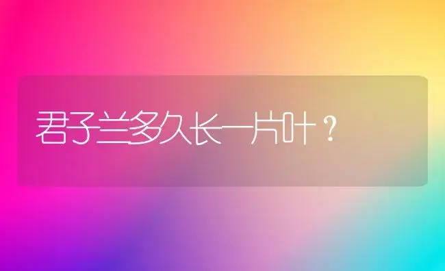 君子兰多久长一片叶？ | 绿植常识