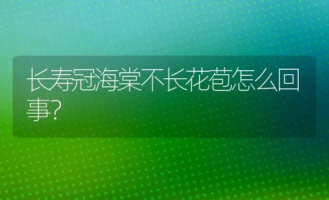 长寿冠海棠不长花苞怎么回事？ | 多肉养殖