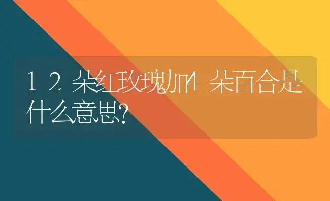 12朵红玫瑰加4朵百合是什么意思？ | 绿植常识