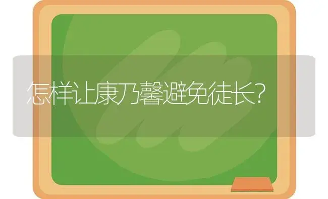 怎样让康乃馨避免徒长？ | 绿植常识