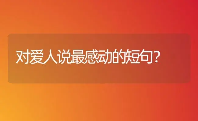 对爱人说最感动的短句？ | 绿植常识