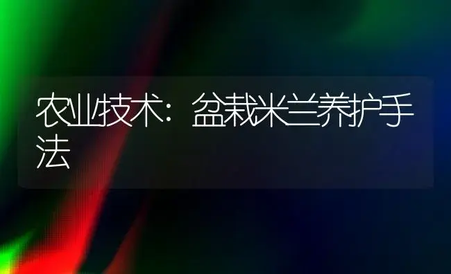 农业技术:盆栽米兰养护手法 | 家庭养花