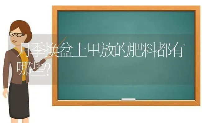 月季换盆土里放的肥料都有哪些？ | 绿植常识