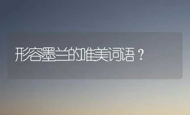 形容墨兰的唯美词语？ | 绿植常识