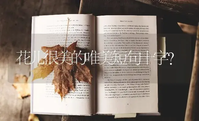 花儿很美的唯美短句十字？ | 绿植常识