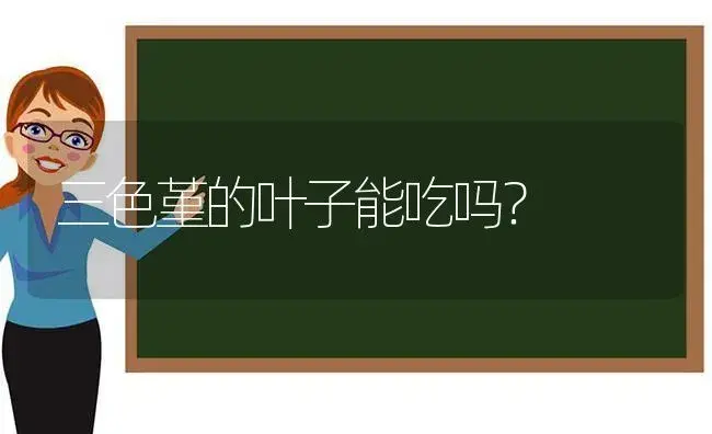 三色堇的叶子能吃吗？ | 绿植常识