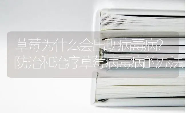 草莓为什么会出现病毒病？防治和治疗草莓病毒病的办法 | 果木种植