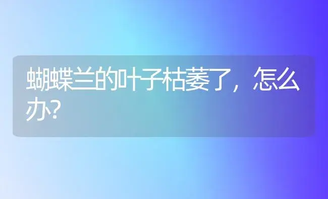 蝴蝶兰的叶子枯萎了，怎么办？ | 绿植常识