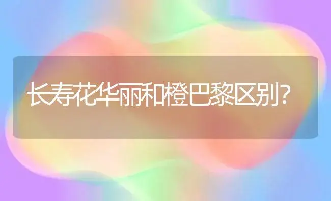 长寿花华丽和橙巴黎区别？ | 多肉养殖