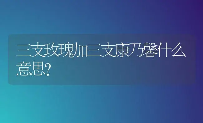 三支玫瑰加三支康乃馨什么意思？ | 绿植常识