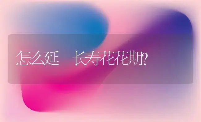 怎么延長长寿花花期？ | 多肉养殖