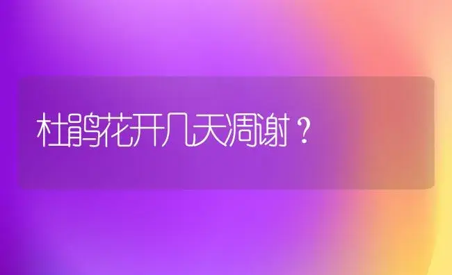 杜鹃花开几天凋谢？ | 绿植常识