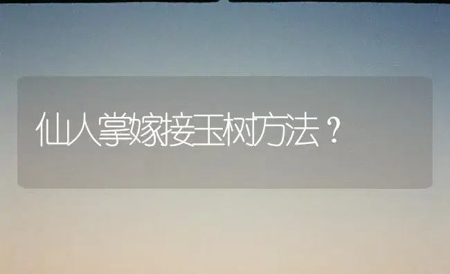 仙人掌嫁接玉树方法？ | 多肉养殖