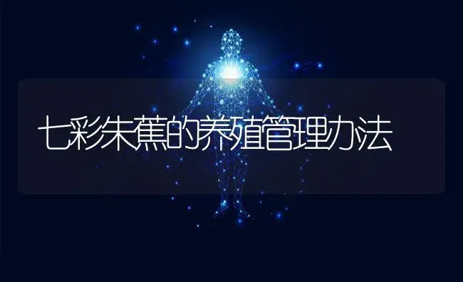 七彩朱蕉的养殖管理办法 | 特种种植