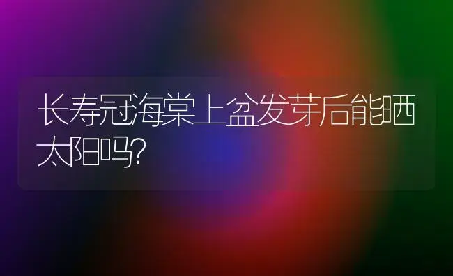 杜鹃是单叶还是复叶？ | 绿植常识