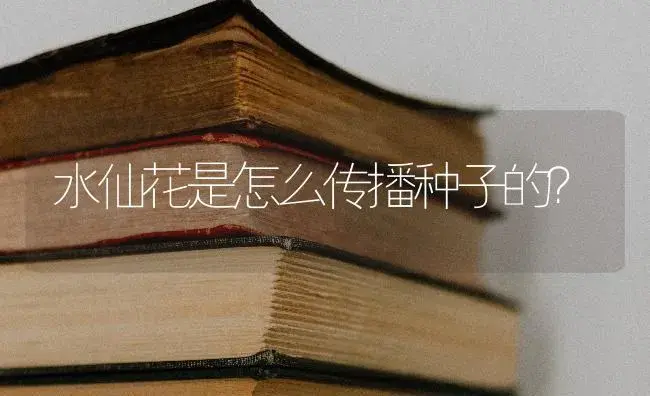 水仙花是怎么传播种子的？ | 绿植常识