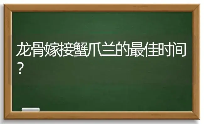 龙骨嫁接蟹爪兰的最佳时间？ | 多肉养殖