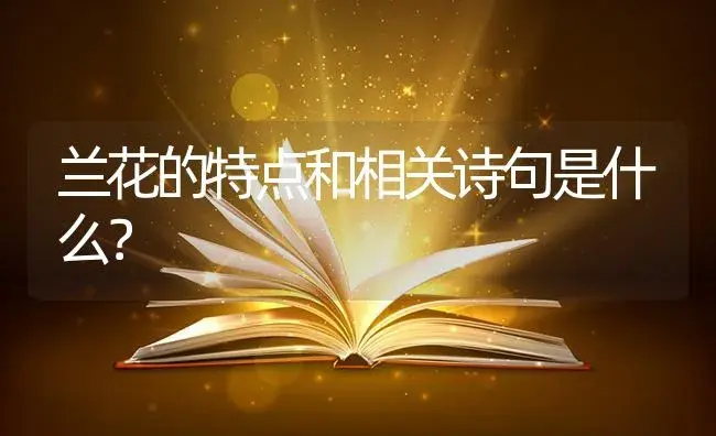 兰花的特点和相关诗句是什么？ | 绿植常识