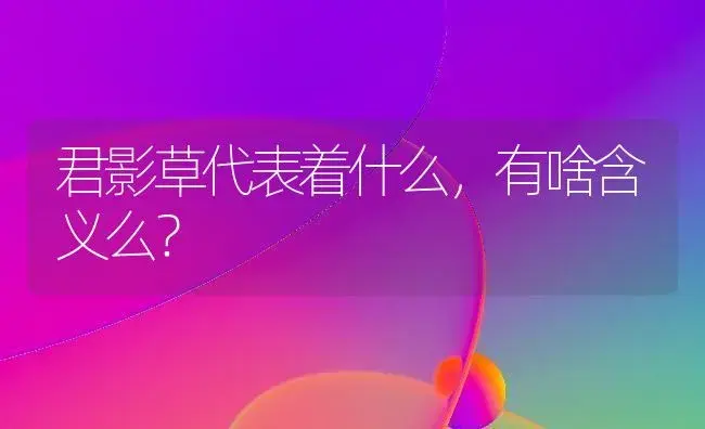 君影草代表着什么，有啥含义么？ | 绿植常识