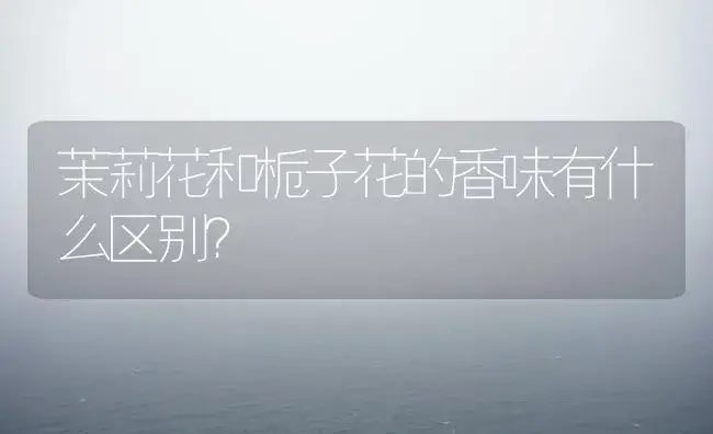 杜鹃是灌木还是乔木，杜鹃(春)和杜鹃(夏)有什么不同之处？ | 绿植常识