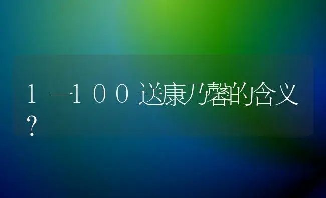 1一100送康乃馨的含义？ | 绿植常识