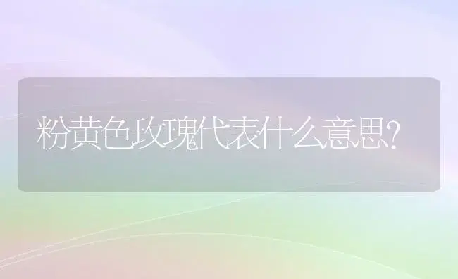 粉黄色玫瑰代表什么意思？ | 绿植常识