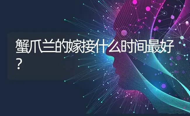 蟹爪兰的嫁接什么时间最好？ | 多肉养殖