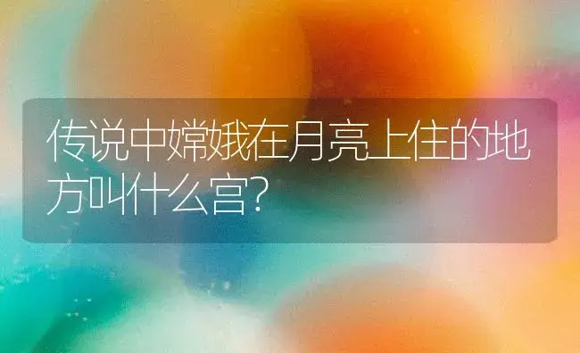 传说中嫦娥在月亮上住的地方叫什么宫？ | 多肉养殖